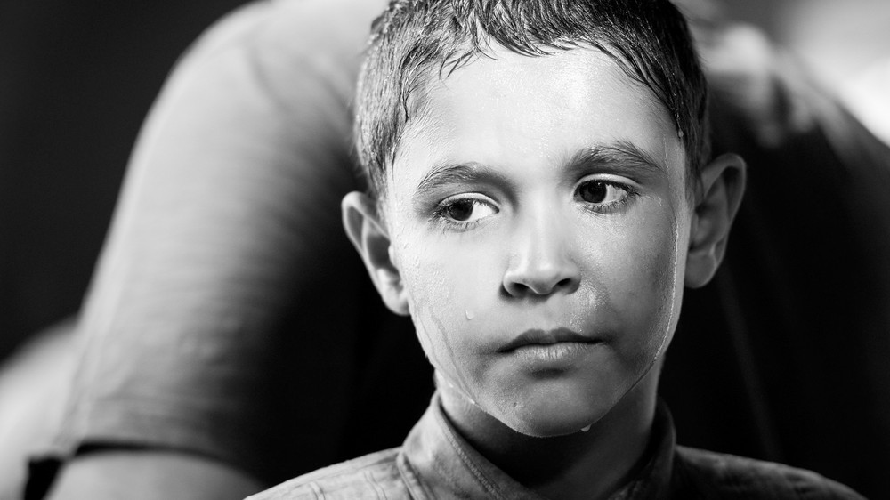 Pomaľované vtáča