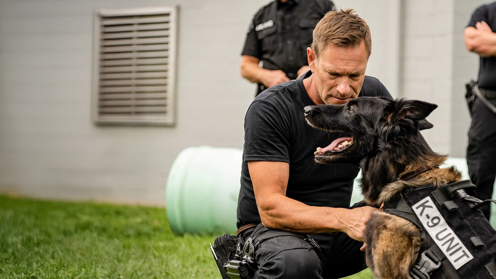 K9: Oceľový tesák