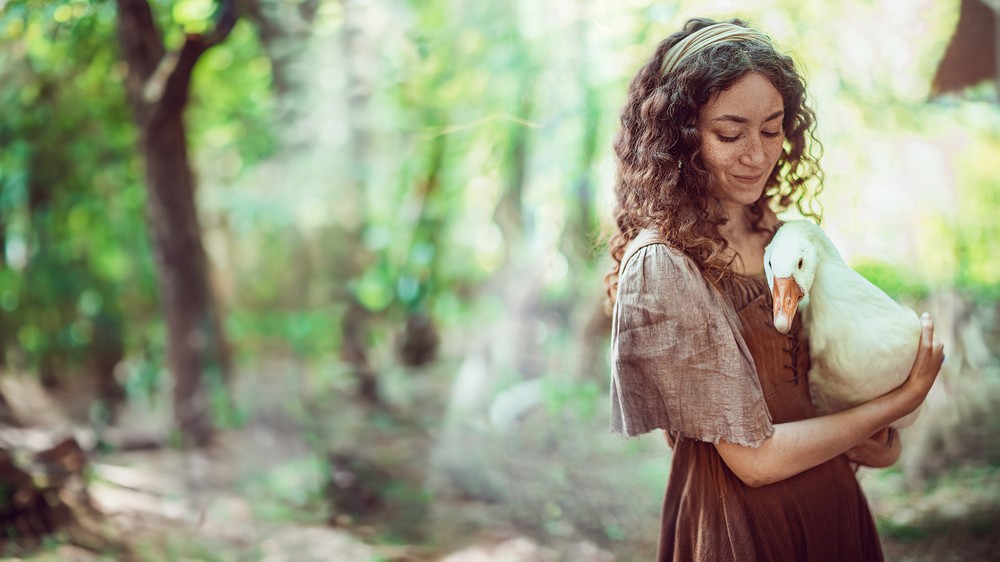 Rozprávky bratov Grimmovcov: Husia princezná