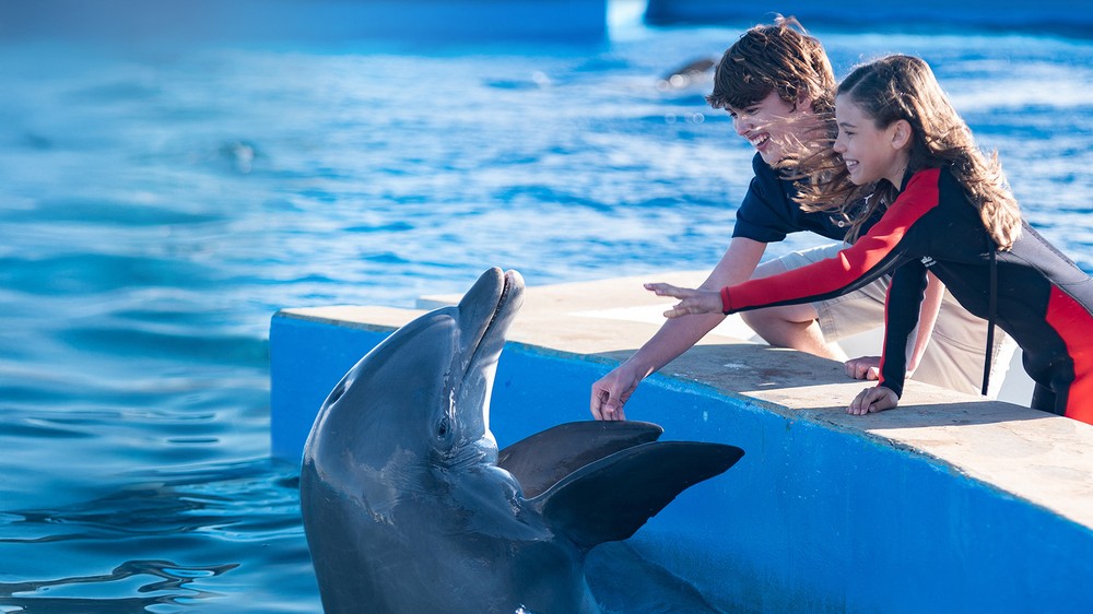 Môj kamarát delfín 2