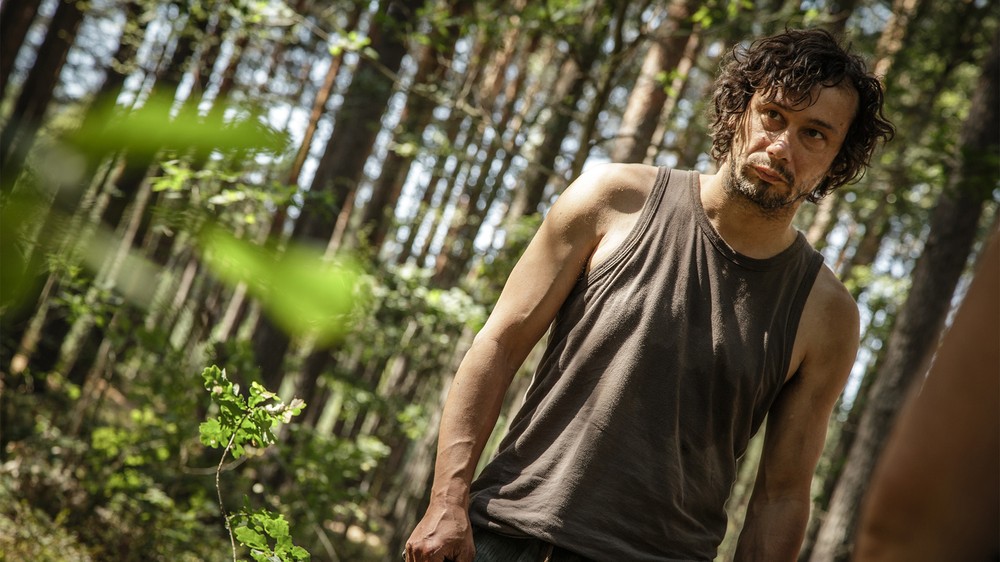 Zloději zelených koní