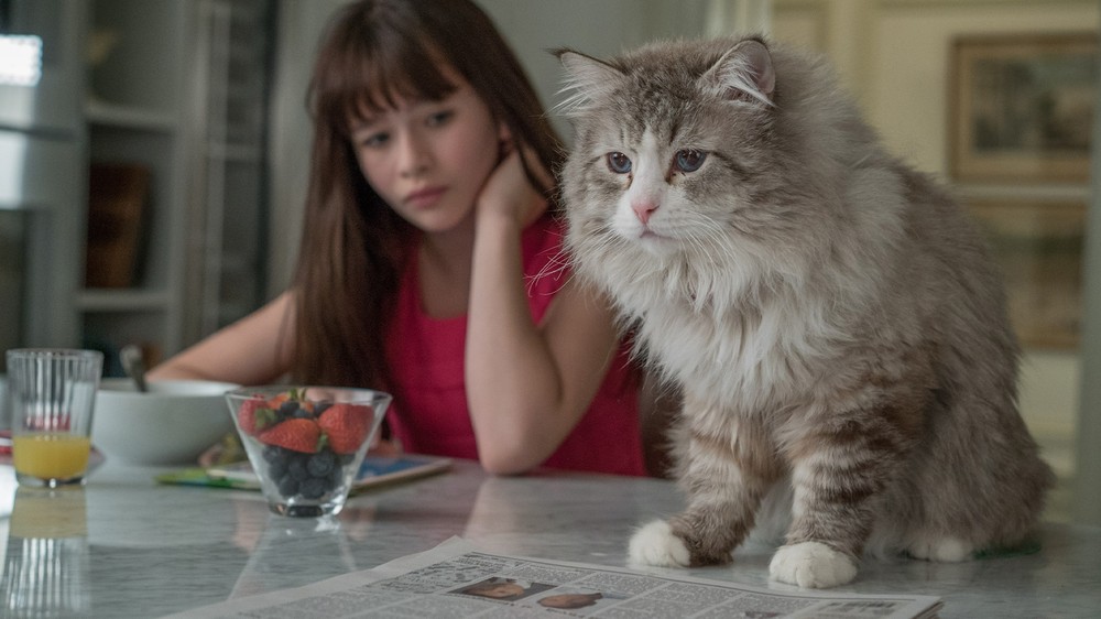 Deväť životov pána Fúzika