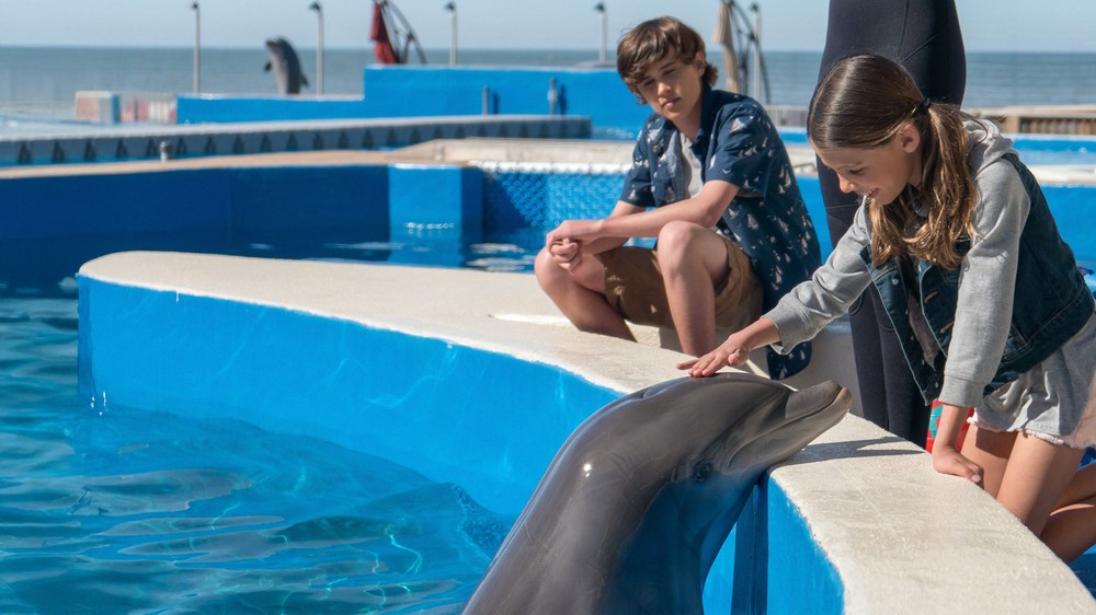 Môj kamarát delfín