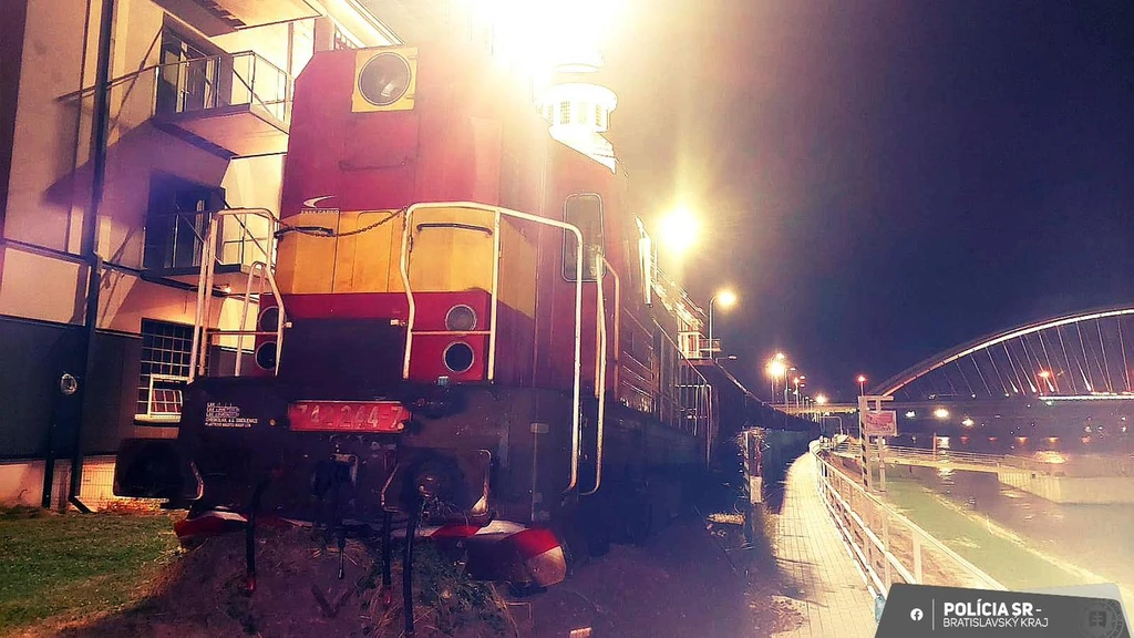 Vlak na trávniku.