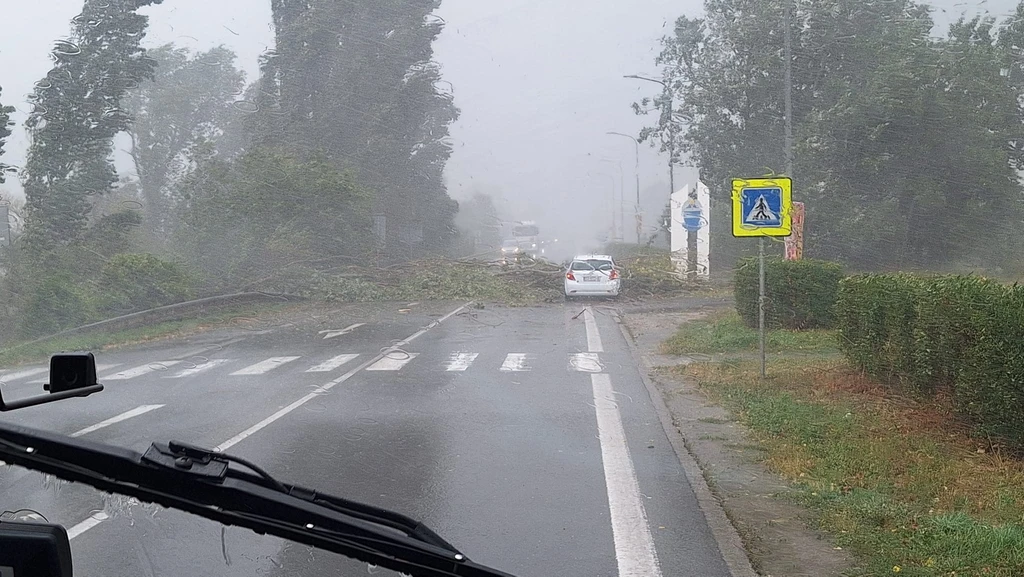 Strom spadol na most, Hlohovec. 