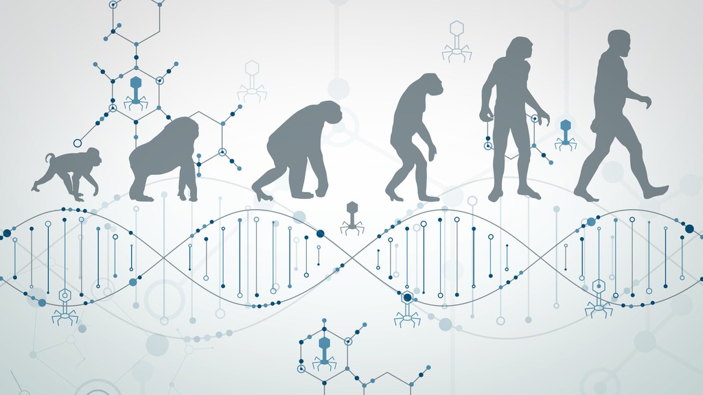 Vírus sa veľkou mierou podieľal na evolúcii