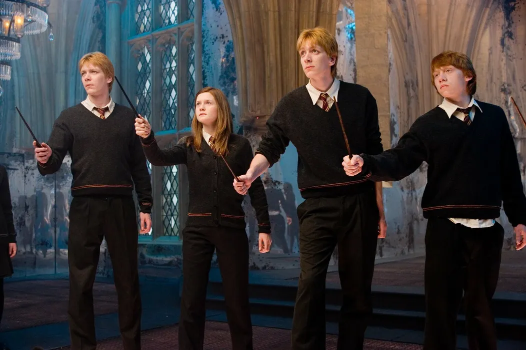 Harry Potter a Fénixov rád