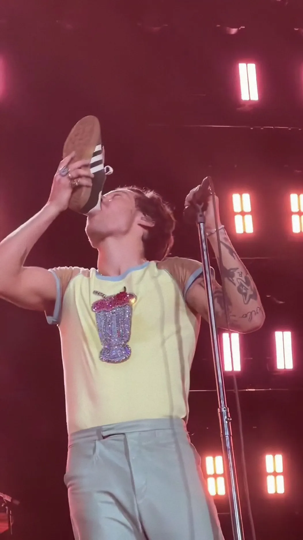 Harry Styles sa počas koncertu napil z tenisky