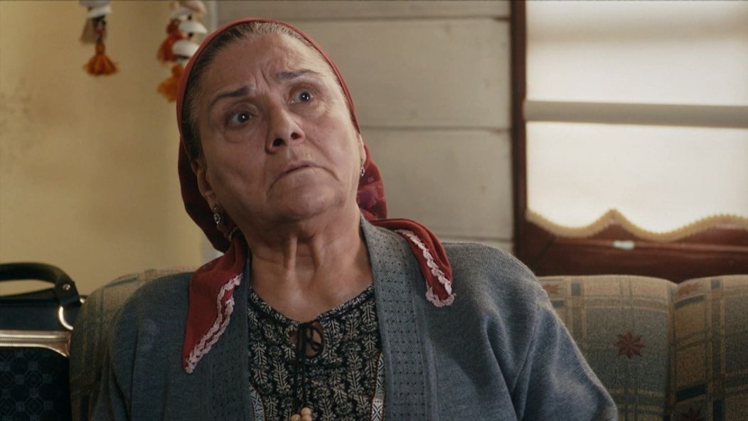 Zachránené životy