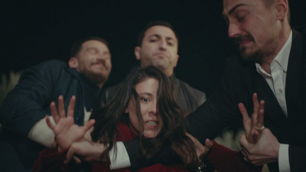 Veľvyslancova dcéra