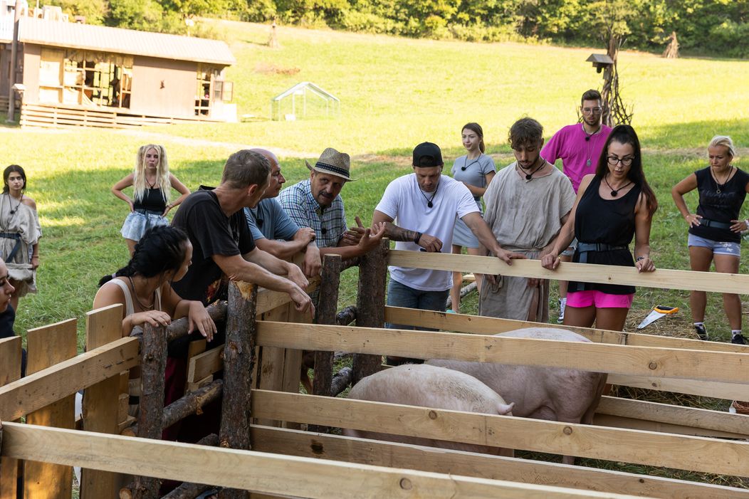 Na statok prišli nový obyvatelia, Roman zacítil rezne ...