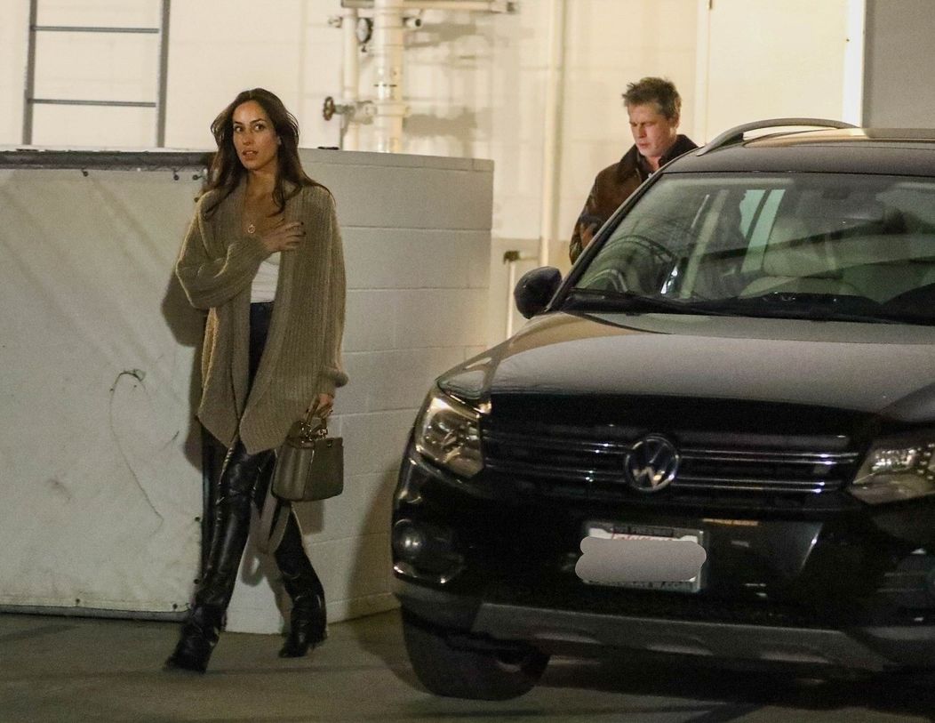 Brad Pitt s Ines de Ramon