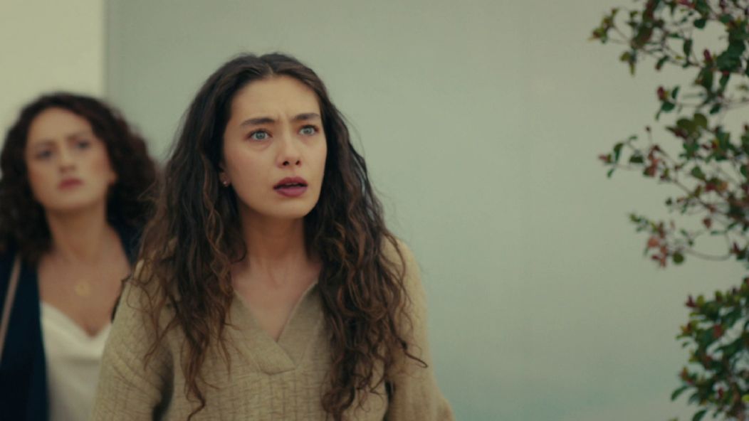 Veľvyslancova dcéra