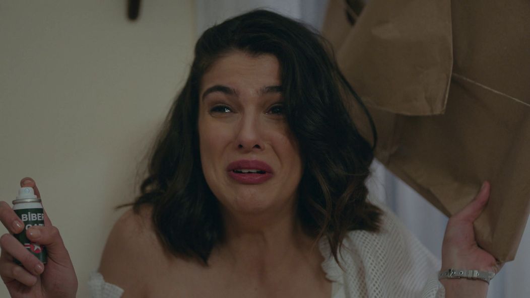 Veľvyslancova dcéra