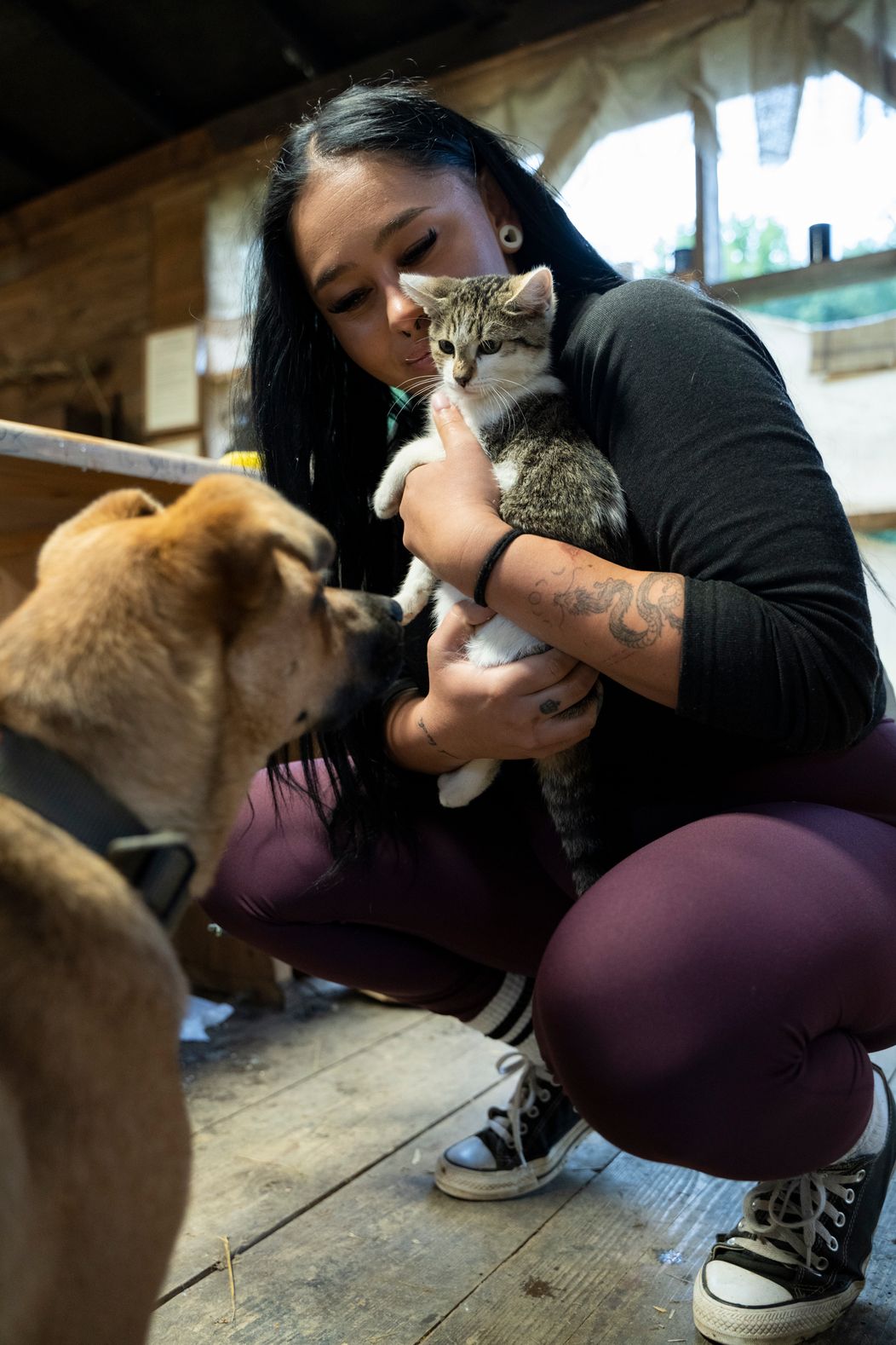 32. deň na Farme. Idylka na statku, alebo ticho pred búrkou?