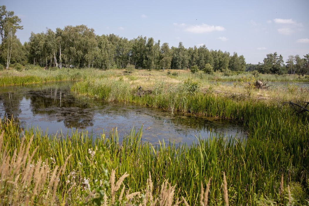 Terasa na streche domu farmára týždňa