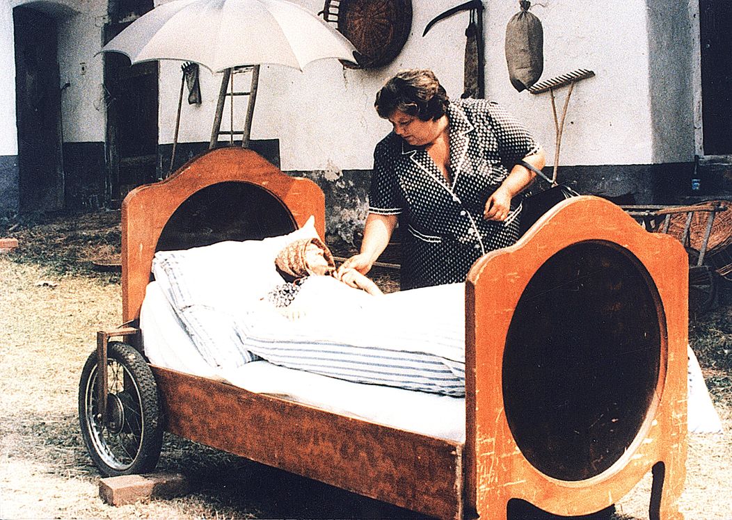 Slunce, seno, jahody