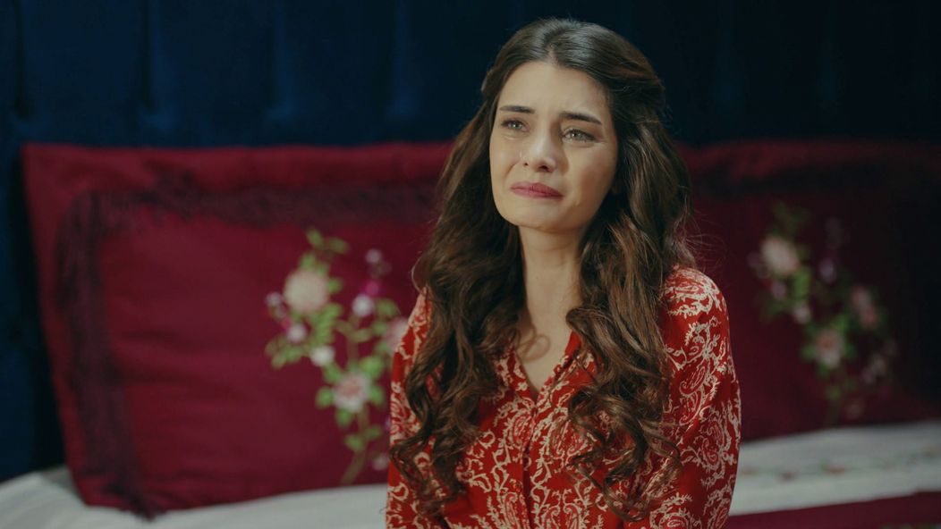 Veľvyslancova dcéra