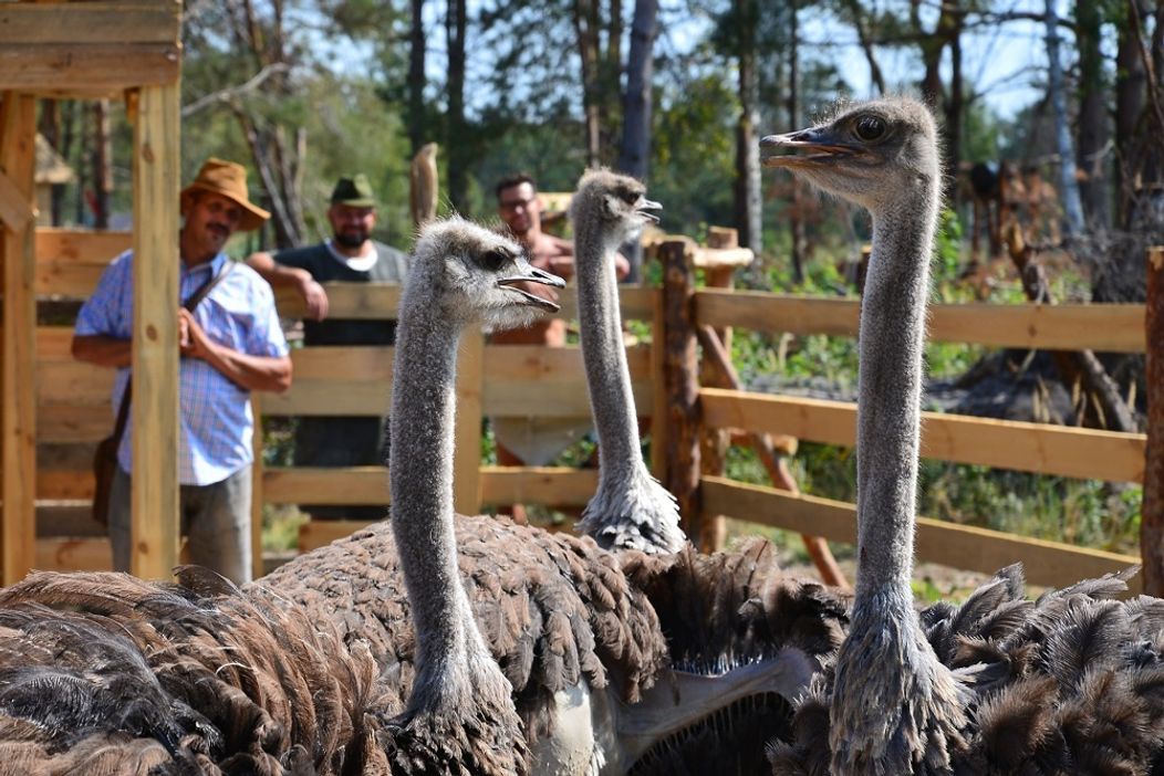 Hospodár Martin pri tohtotýždňovej kontrole úloh