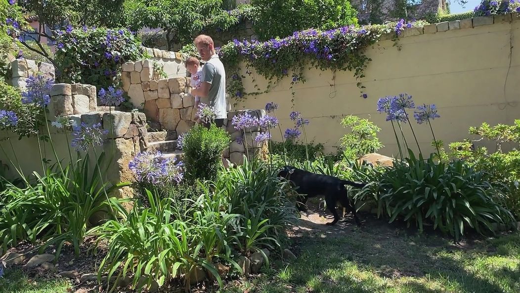 Rodina princa Harryho