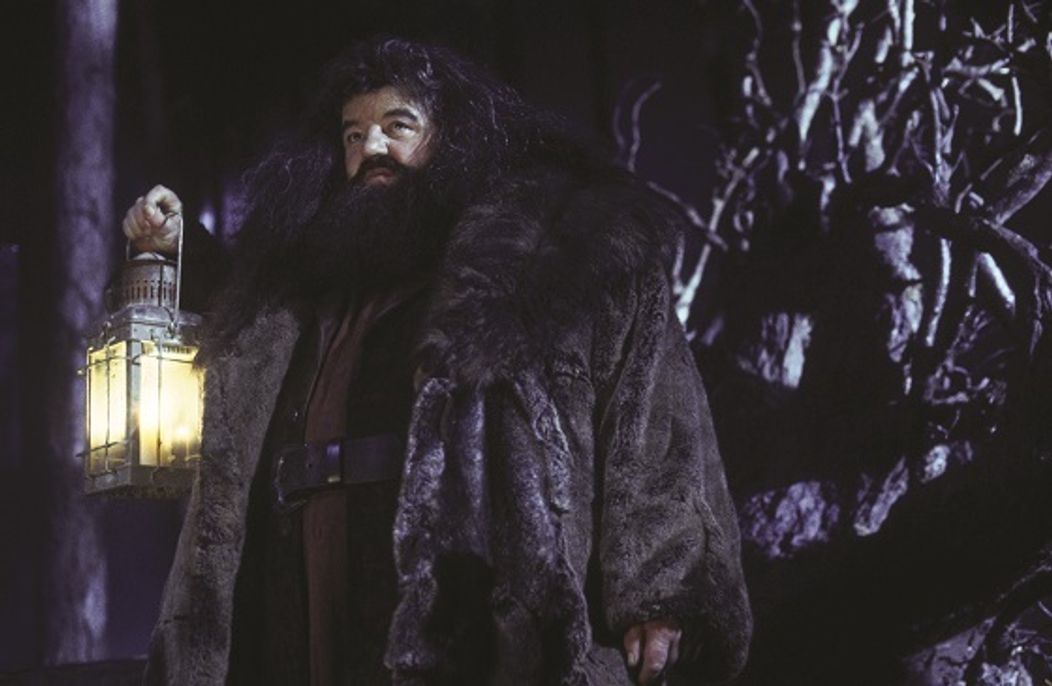 Harry Potter a Kameň mudrcov