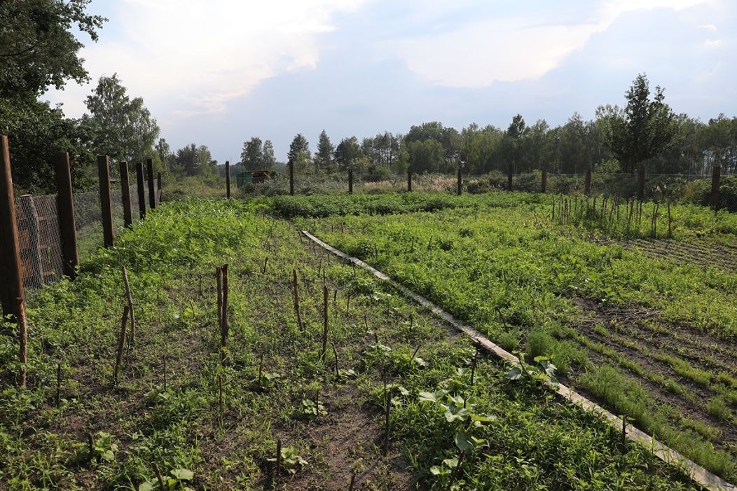 Farmári sa budú starať aaj o vlastnú záhradku