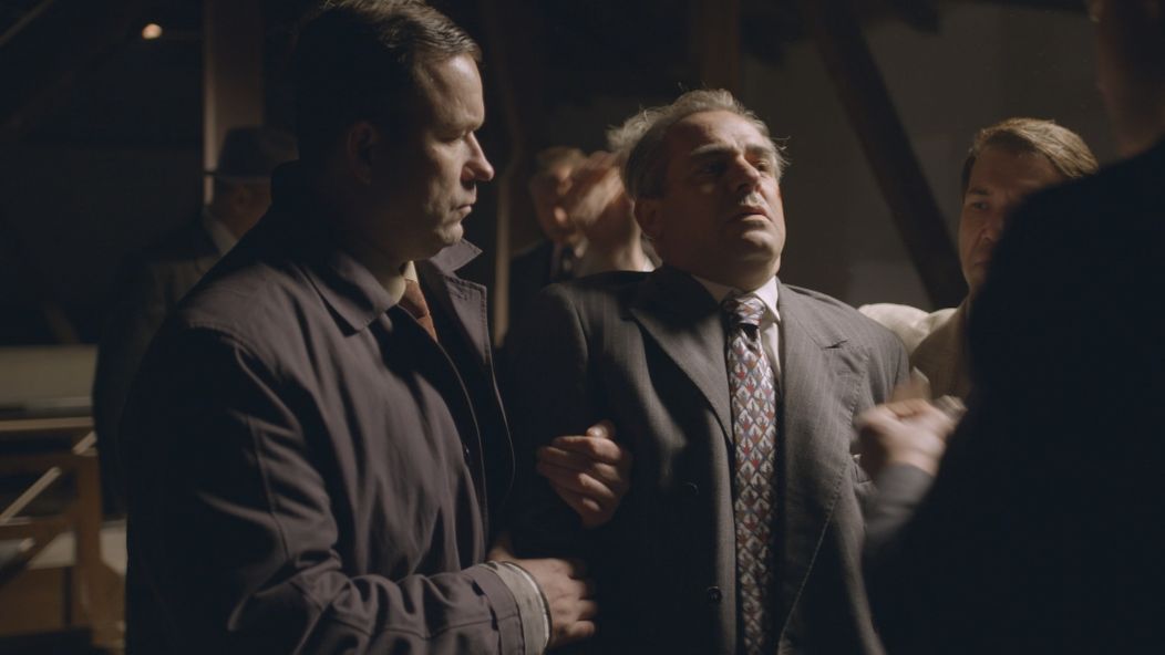 holubec nakladacka.jpg_bez_watermarku_1.2