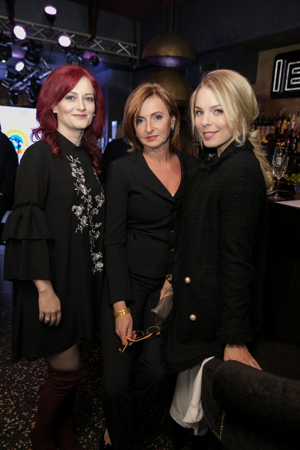 Andrea Šprochová, Danica Nejedlá a Veronika Cifrová Ostrihoňová
