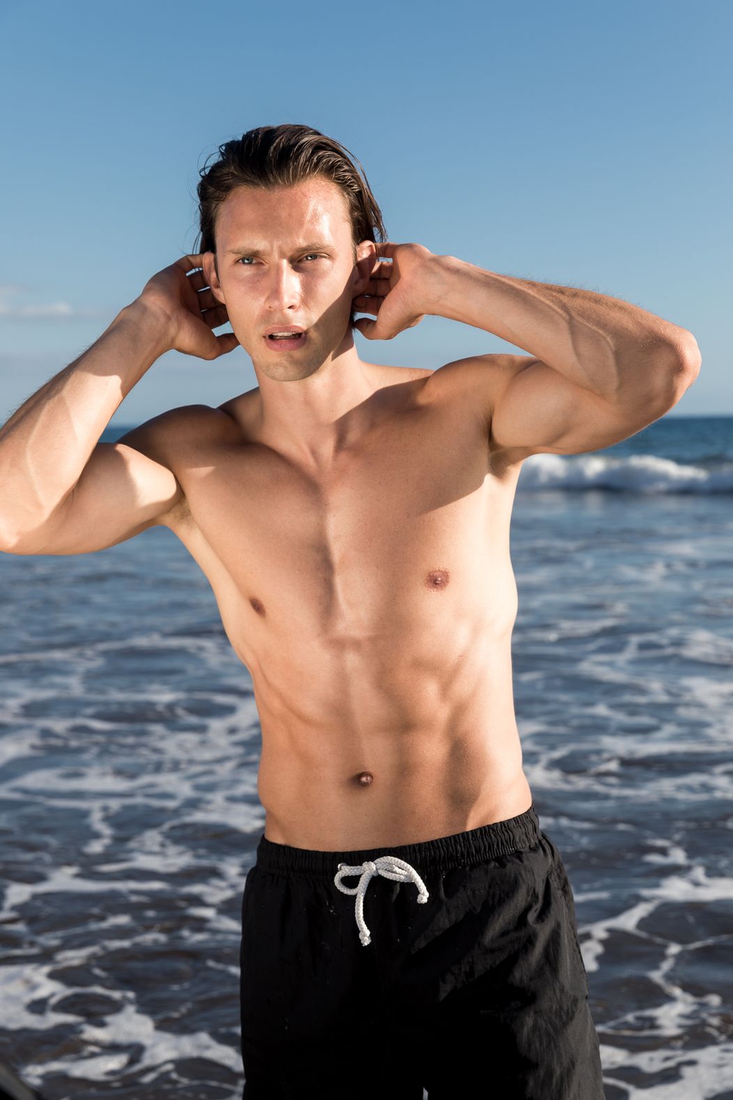 Model Petr
