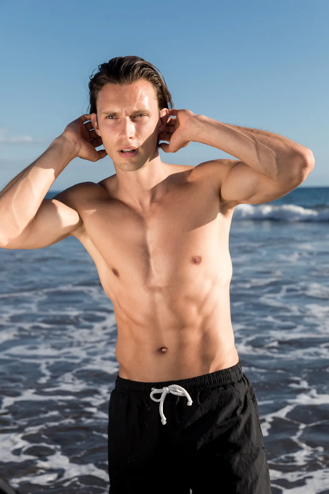 Model Petr