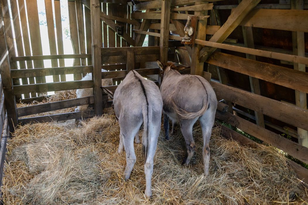 Zábery z nového statku na Farme 16