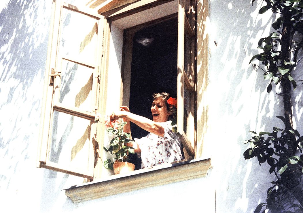 Slunce, seno, jahody