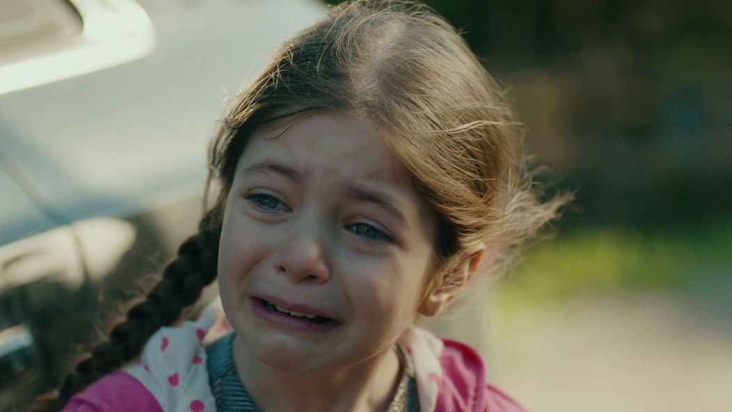 Veľvyslancova dcéra