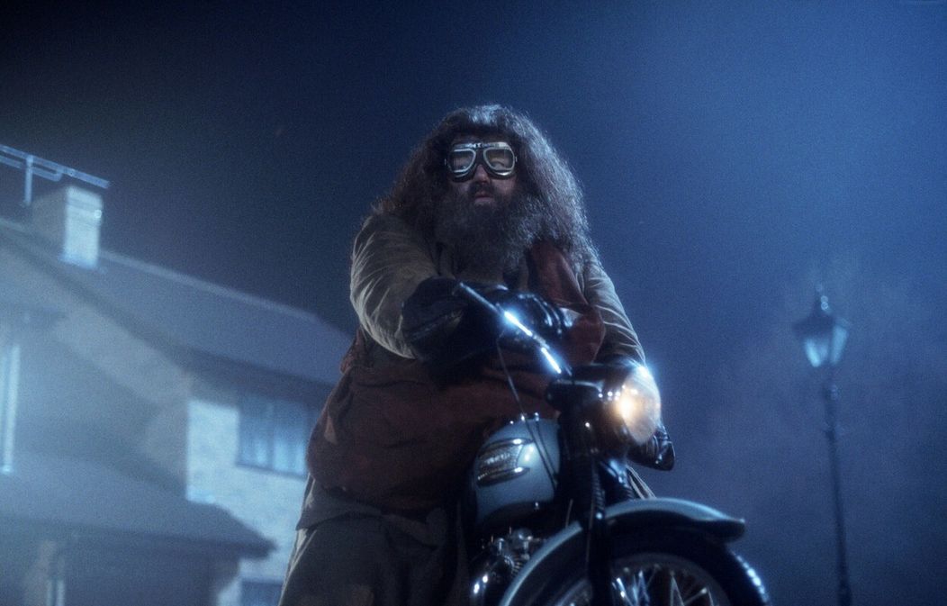 Robbie Coltrane ako Hagrid v Harrym Potterovi.