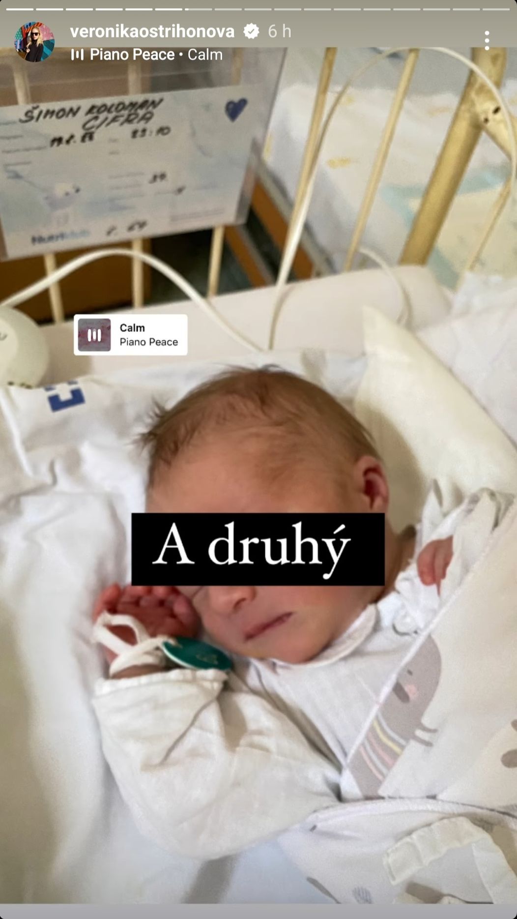 Druhý koloman v rodine Ostrihoňových.