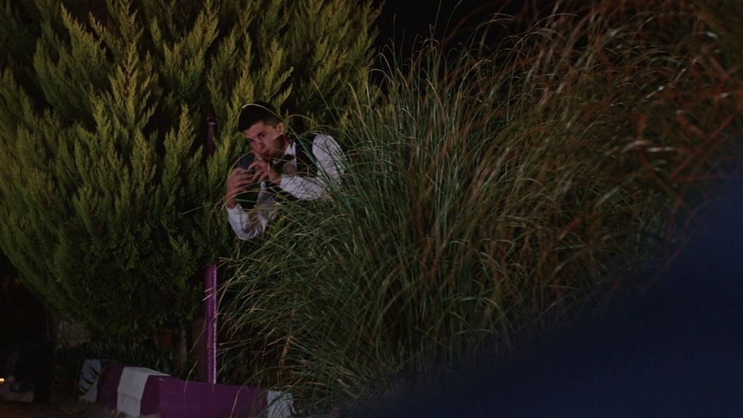 Láska, rozum, pomsta