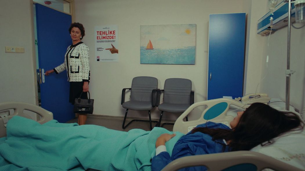 Veľvyslancova dcéra