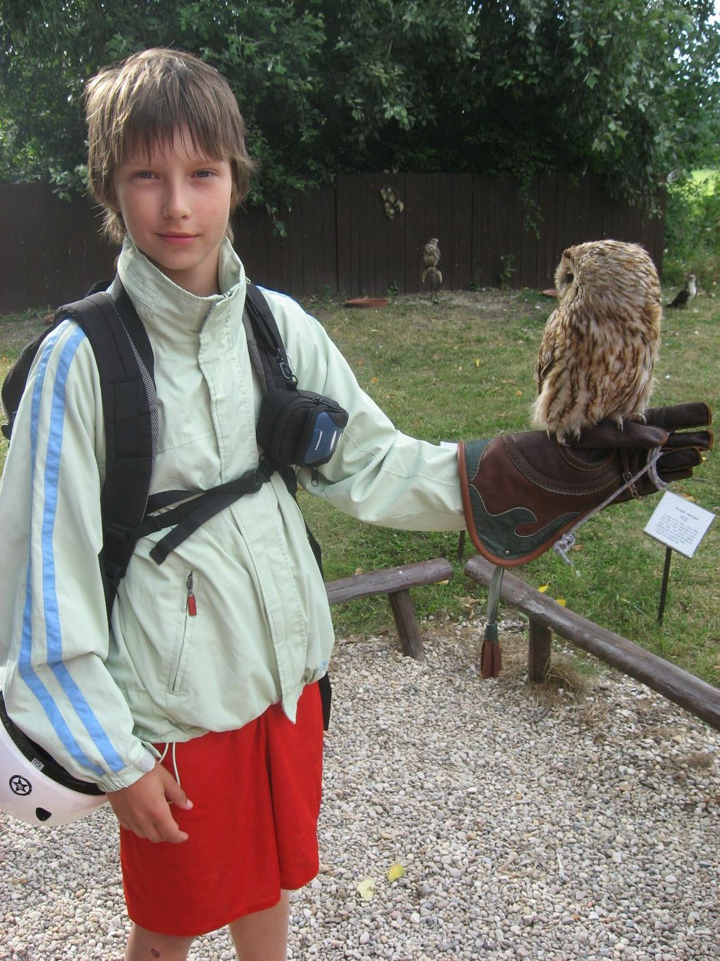 Pítr