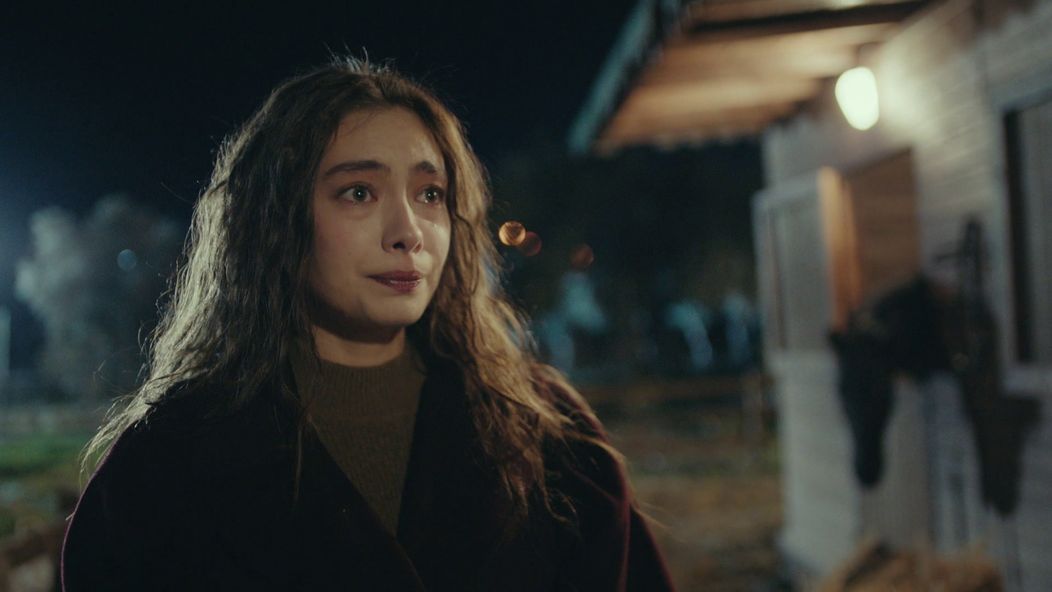 Veľvyslancova dcéra