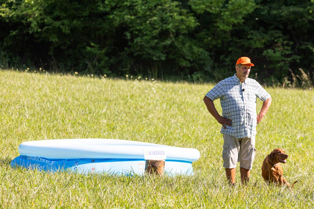 Farmári sa pri hre o odmenu schladili v bazéne, Timo mohol nakupovať