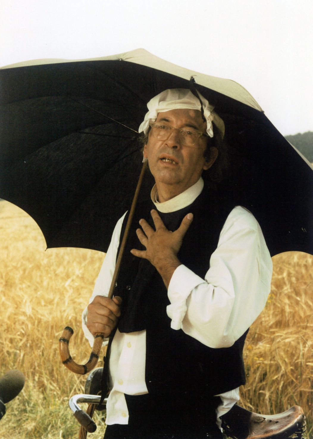 Slunce, seno, jahody