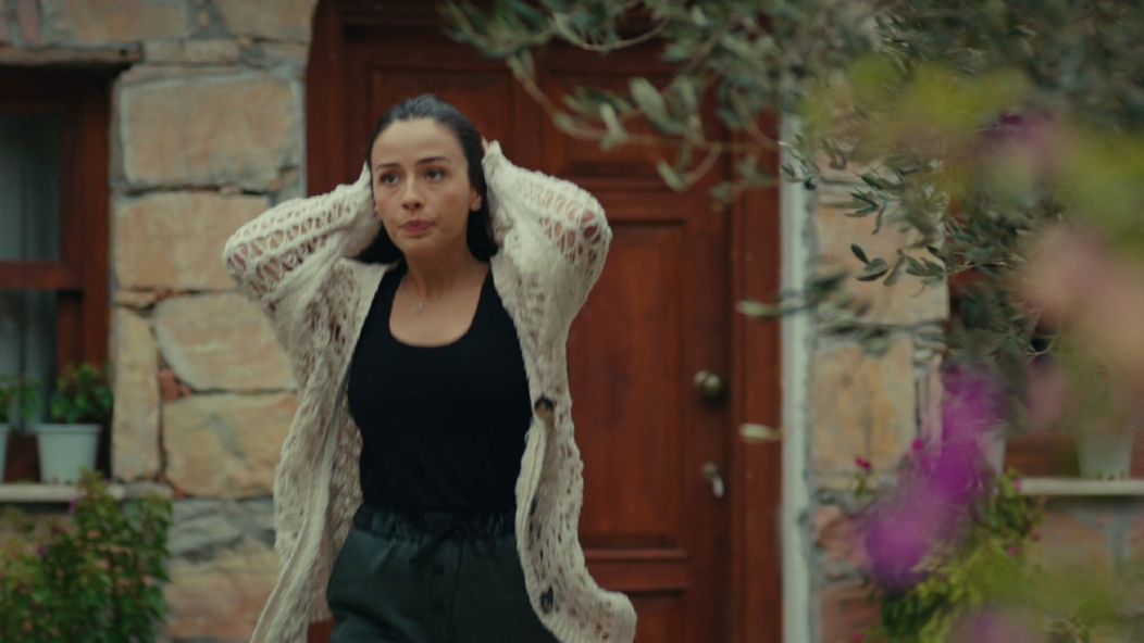 Veľvyslancova dcéra