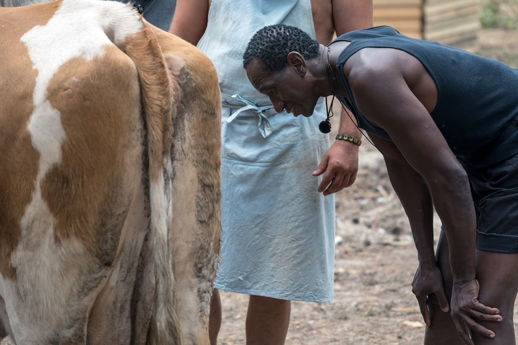Ibiho Malina okamžite švacla chvostom