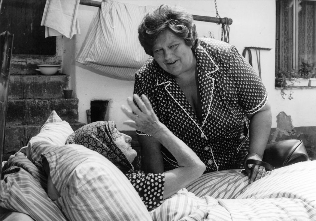 Slunce, seno, jahody