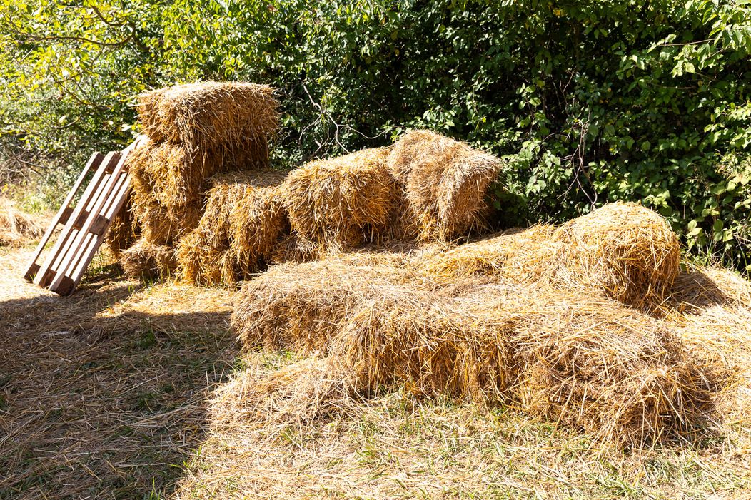 Detaily na Farme
