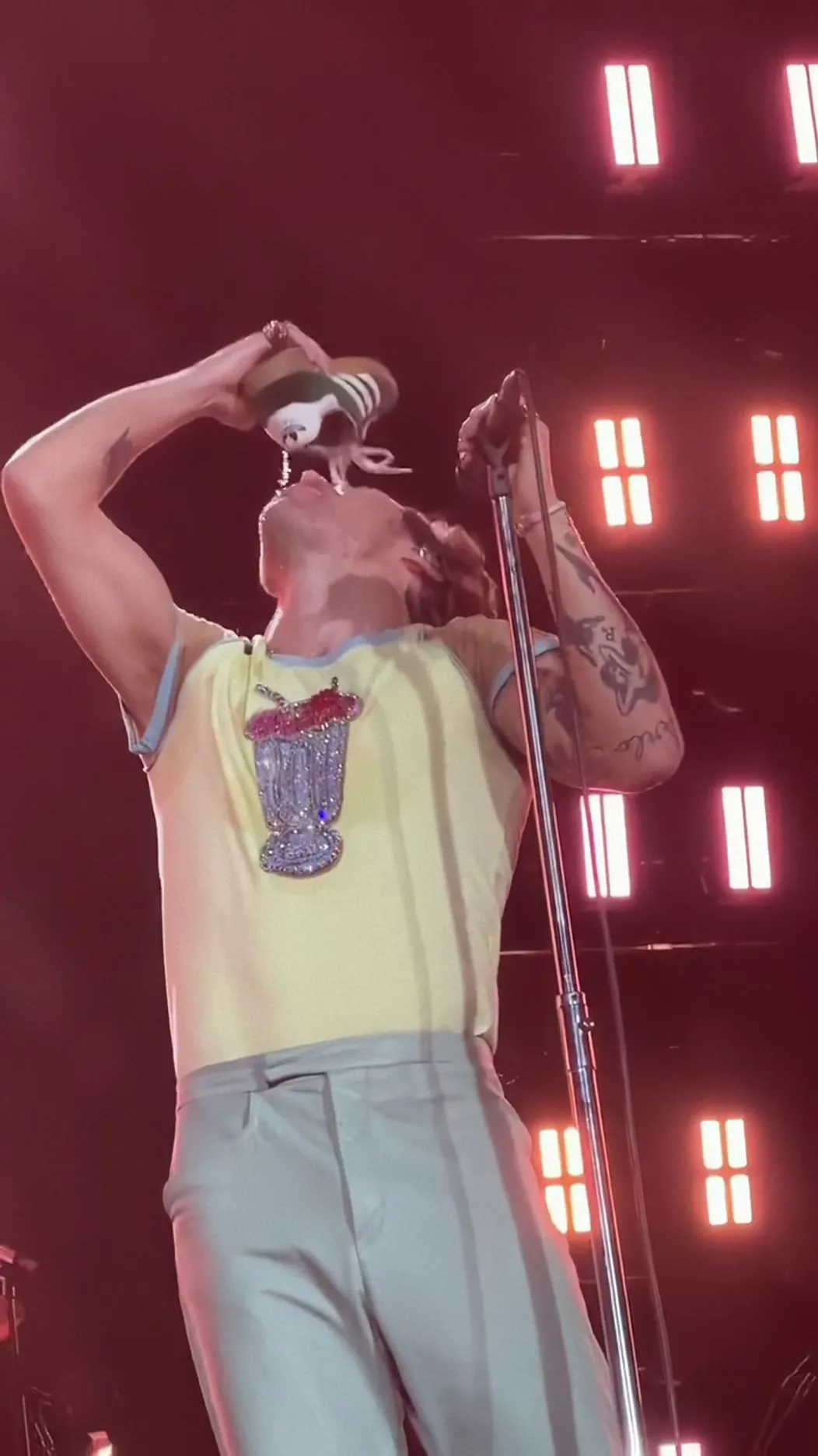 Harry Styles sa počas koncertu napil z tenisky
