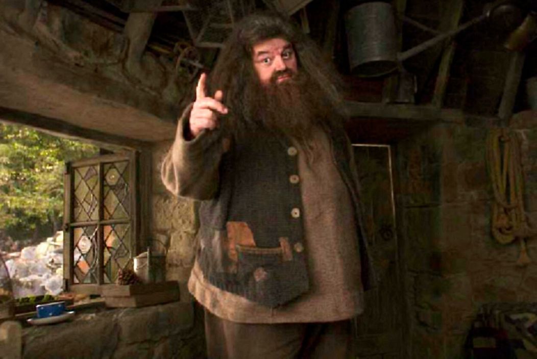 Robbie Coltrane ako Hagrid v Harrym Potterovi.