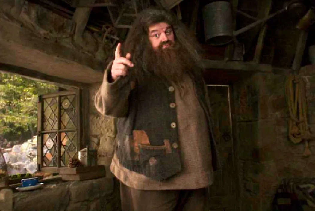 Robbie Coltrane ako Hagrid v Harrym Potterovi.