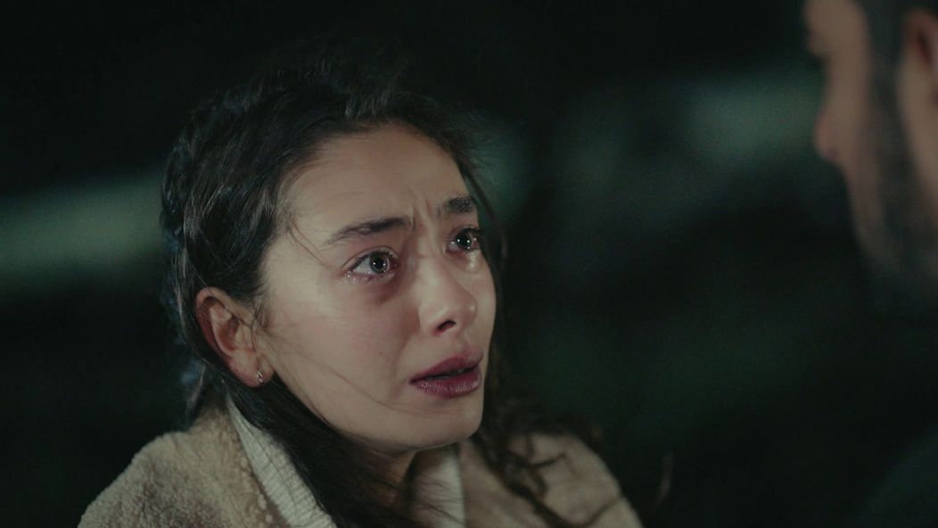 Veľvyslancova dcéra