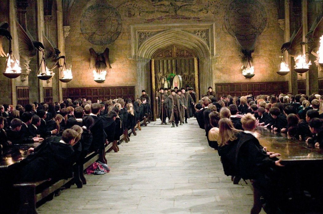 Stanislav Ianevski ako Viktor Krum vo filme Harry Potter a Ohnivá čaša